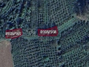 Şile Kalem Satılık 468 m² Bahçe