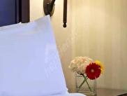 Merkez Gazi Osman Paşa Günlük Kiralık