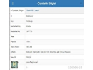 Sındırgı Kozlu Satılık