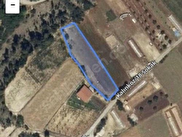 Çameli Kalınkoz Satılık