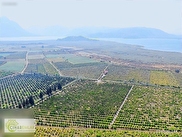 Ortaca Tepearası Satılık