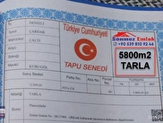 Bozkurt Cumalı Satılık