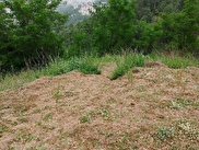 Babadağ Demirli Satılık