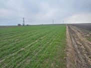 Silivri İsmetpaşa Satılık 1125 m² Tarla
