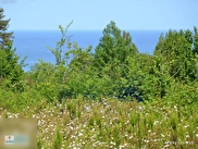 Abana Merkez Satılık