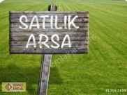 Seyhan Zeytinli Satılık