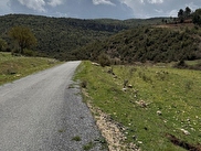 Çamlıyayla Giden Satılık