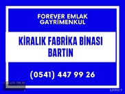 hurriyet emlak