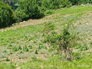 Çamlıyayla Kale Satılık