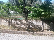Keşap Güneyköy Satılık