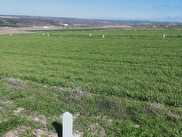 Silivri Balaban Satılık 250 m² Bahçe