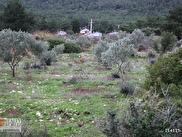 Urla Zeytinler Satılık