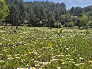 Fethiye Nif Satılık