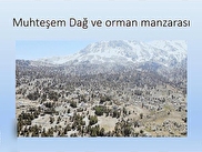 Konyaaltı Geyikbayırı Satılık