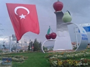 Wncp8jsnnmplym