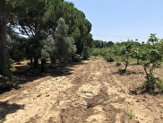 Kuşadası Yeniköy Satılık