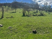 Şavşat Kireçli (Dedeağa) Satılık