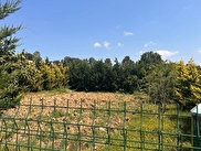Pendik Göçbeyli Satılık