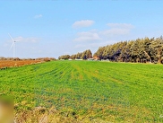Çatalca İnceğiz Satılık 3535 m² Tarla