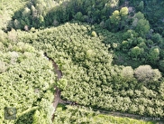 Merkez Boğaziçi (Şekerpınar) Satılık