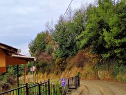 Zonguldak Satilik Mustakil Ev Fiyatlari Ilanlari Hurriyet Emlak