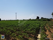 efeler satilik arsa tarla bahce fiyatlari ilanlari hurriyet emlak