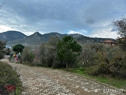 Edremit Dereli Satılık