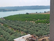 Karaisalı Körüklü Satılık