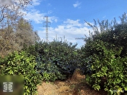 Selçuk Zeytinköy Satılık