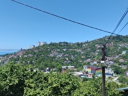 Kozlu Kılıç Satılık