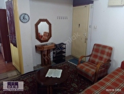 Merkez Gelincik Satılık