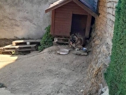 Beykoz Çamlıbahçe Sahibinden Satılık