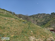 Kuyucak Çobanisa Satılık