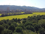 Köyceğiz Köyceğiz Satılık