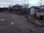 Babaeski Hazinedar Satılık 2+1 Daire