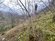 giresun satilik tarla fiyatlari