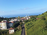 Derepazarı Merkez Satılık