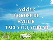 Aziziye Üçköşe Satılık