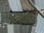 Antalya Satilik Bahce Fiyatlari Ilanlari Hurriyet Emlak