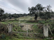 isabeyli mh satilik arsa tarla bahce fiyatlari ilanlari hurriyet emlak