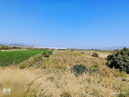 Söke Argavlı Satılık