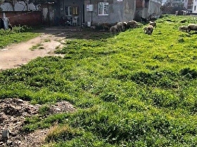 Turgutlu Mustafa Kemal mahallesinde satılık müstakil ev