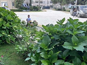 Çınarcık/Karpuzdere/Siteİçi/70M2/1+1 Satılık/Daire