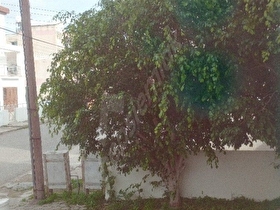 SOMA TURGUTALP 301 DOĞUŞ SİTESİNDE SAHİBİNDEN SATILIK EŞYALI DAİRE KOMBİLİ KLİMALI