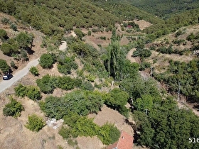 🔴🔴AKTİFTEN BURHANİYE KIRTIKTA DOĞA MANZARALI KÖY İÇERİNDE 222M² SATILIK BAHÇE 🔴