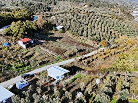 GEMLİK KURTUL MAHALLESİNDE HUZURLU HOBİ BAHÇESİ