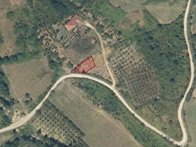 🔥 KÖY YERLEŞİK ALANINDA! YOLA CEPHELİ 510 m² SATILIK ARSA | SİNOP ŞEREFİYE