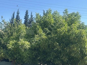 Müstakil iki katlı prefabrik ev Arsa ve bahçesi
