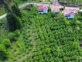 Sahibinden Satılık Müstakil Ev ve Fındık Bahçesi (5.800 m2)
