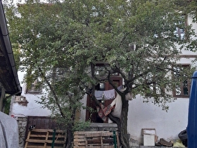 SATILIK KONAK